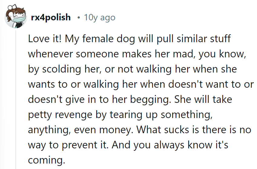 Looks like their dog's got a knack for 