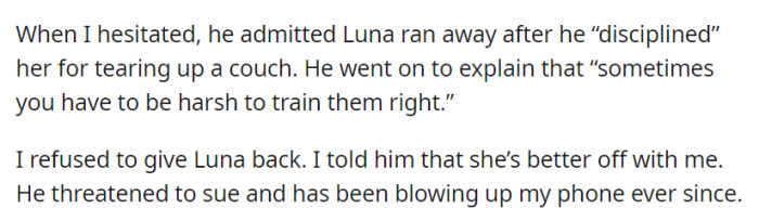 After admitting to harsh discipline, the original owner threatened to sue, but OP stood firm, believing Luna was better off with them, leading to persistent contact from the owner.