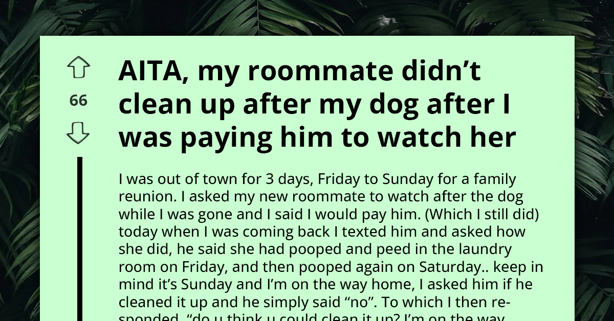 Redditor Shocked As Roommate's Paid Petsitting Only Involves Letting Dog Out, No Cleanup