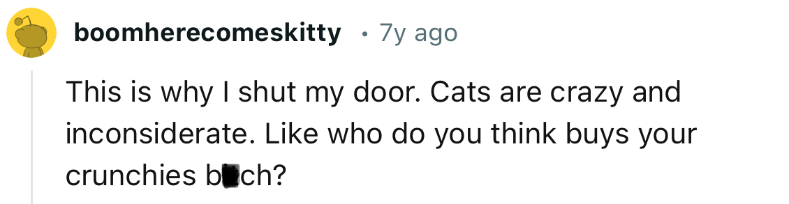 “This is why I shut my door. Cats are crazy and inconsiderate.”