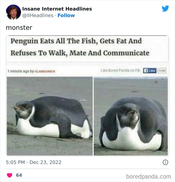 4. Sounds like some husbands...