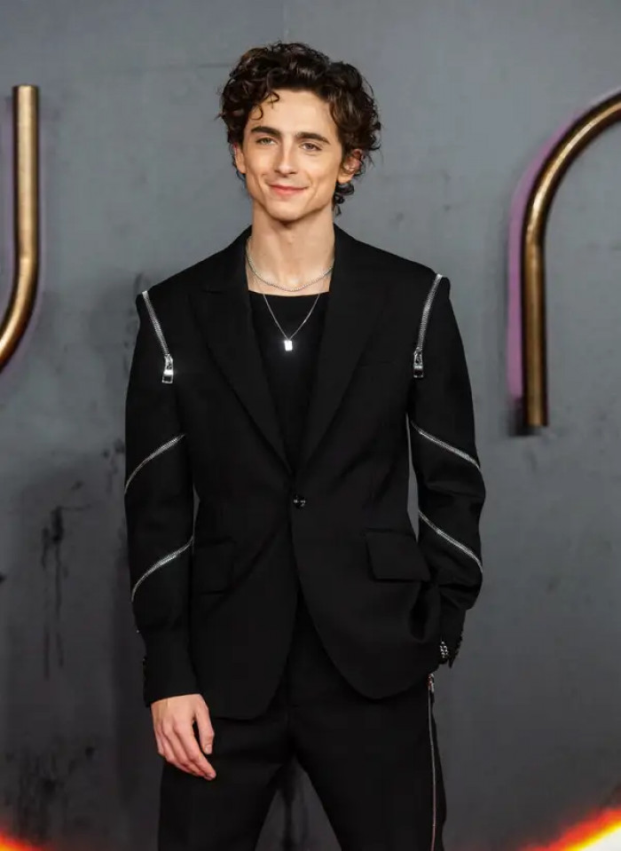3. Timothée Chalamet, who auditioned for the role of Spider-Man, was given some acting advice.