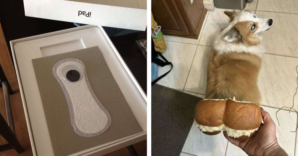 The Memes That Make You Question What Corner Of The Internet You Just Stumbled Into