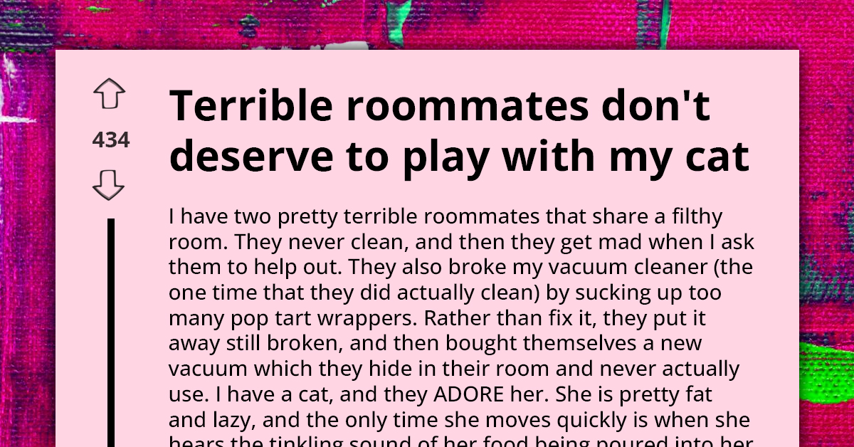 Cat Owner Uses Pet's Food Trick To Punish Messy Roommates For Breaking Vacuum And Avoiding Cleanup