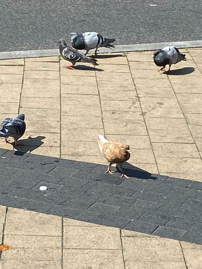 "The Government Forgot To Color This One"