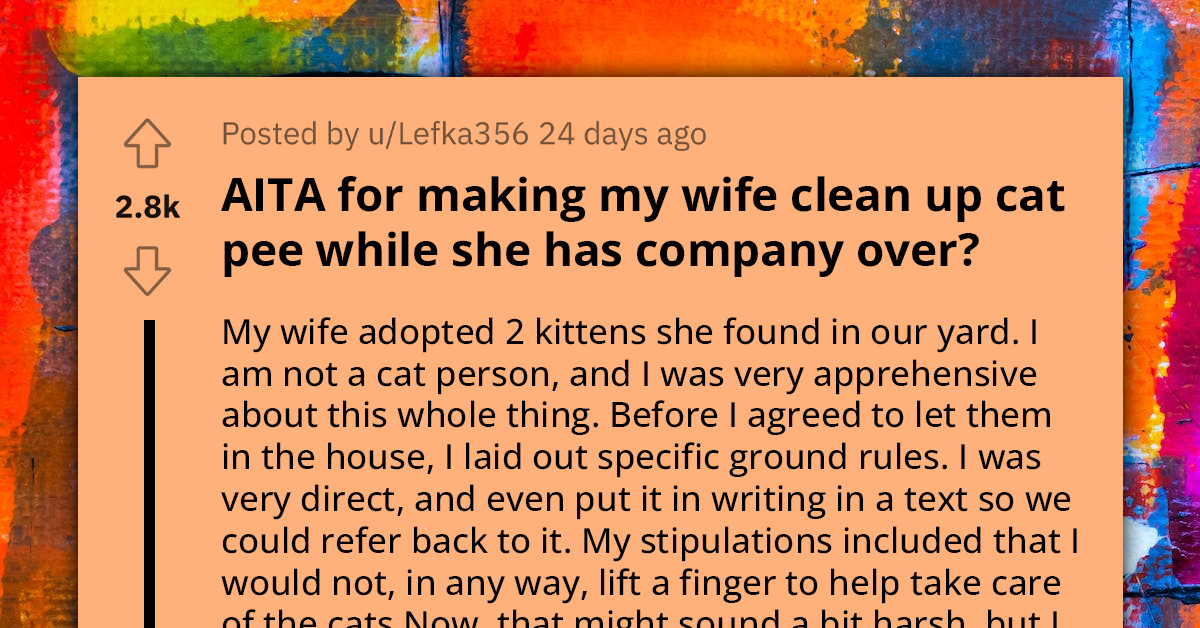 Husband Refuses to Clean Up After Cat During Wife's Visit with Friend, Declares He 'Won't Lift a Finger' for Her Cats