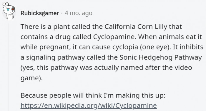 2. Apparently, there's a plant that makes cyclops animals
