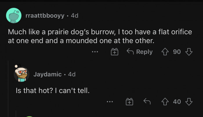 Sharing many similarities with prairie dogs' burrows and their flat orifice.