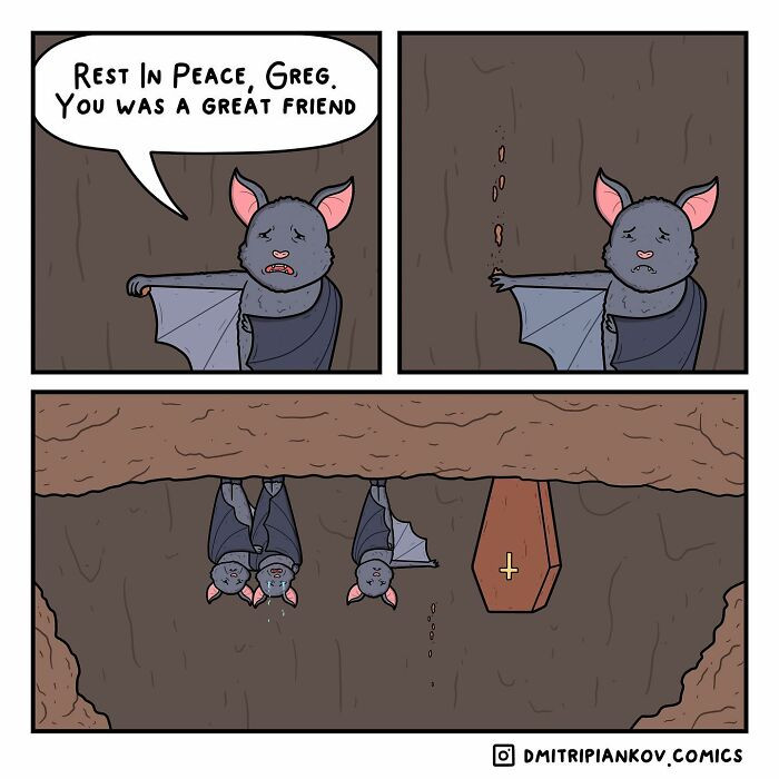 16. Makes sense since bats hang upside down