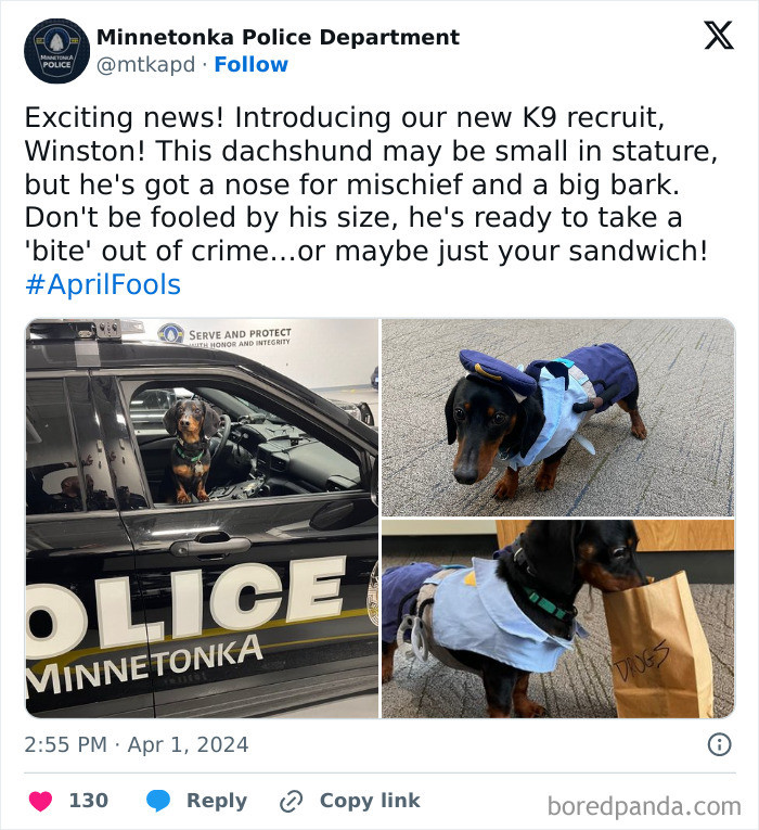 "New Dog On The Job"
