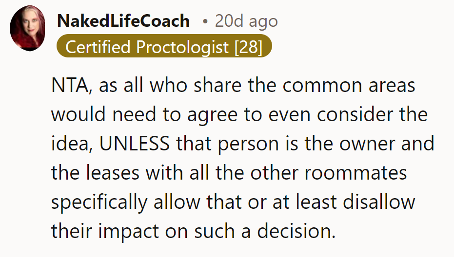 NTA. Consensus matters in shared spaces, unless the lease explicitly grants unilateral decision-making authority.