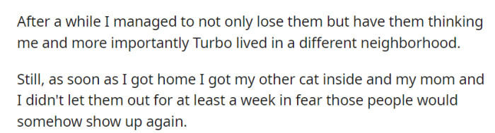 Outsmarting their pursuers and diverting their attention, OP kept their cats indoors for a week to ensure their safety and protect them from any potential threats.