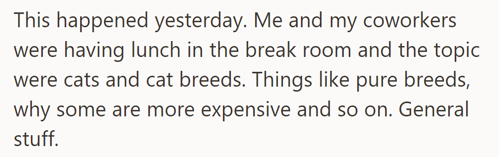 Yesterday, OP and her coworkers discussed different cat breeds, their prices, and why some are more expensive.