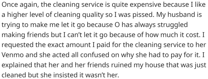 OP emphasizes again that the cleaning service is expensive