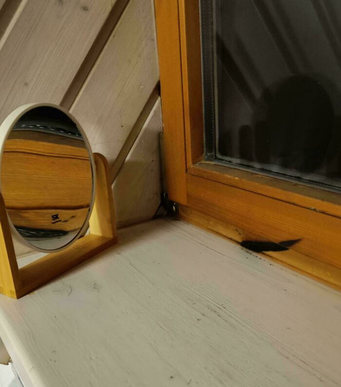"My Parents Came Back Home To This. Almost Burned Their House Down With This Concave Mirror"