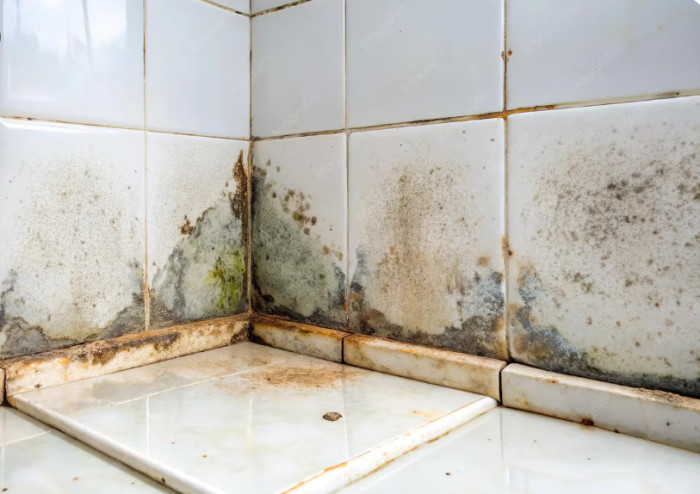 A Plumber's Worst Nightmare