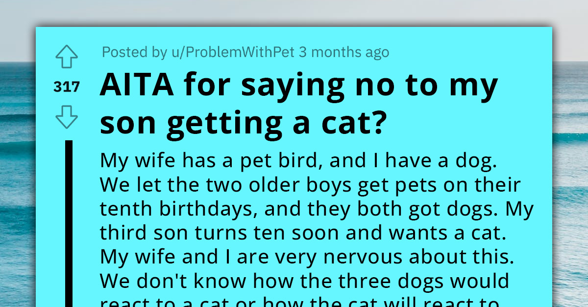 Kids Angry At Parents For Not Letting Him Get A Cat After His Siblings All Got The Pet That They Wanted