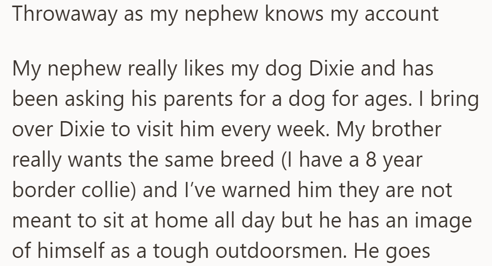 OP's nephew loves their Border Collie, Dixie, and wants a dog. Brother insists on the same breed despite warnings.