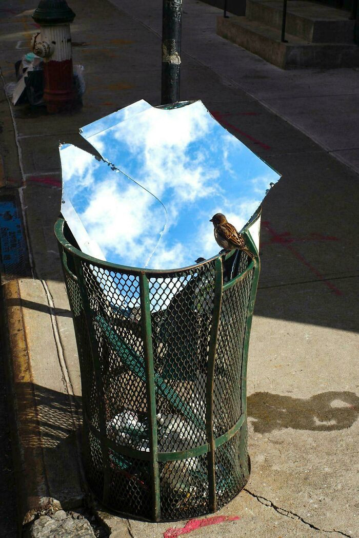"A Bin In The Street"