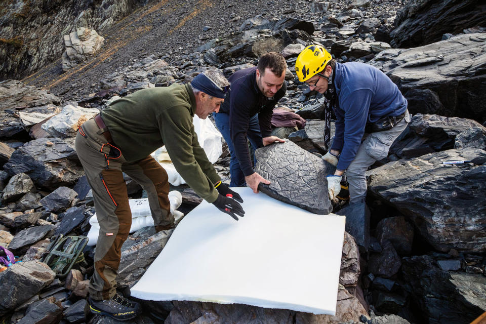 Scientists carefully transport a massive boulder from the Italian Alps. Its surface is etched with fossilized footprints