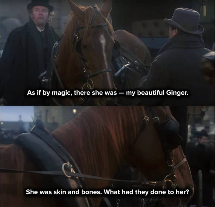 15. When Beauty gets a chance to see Ginger one last time in Black Beauty (1994)