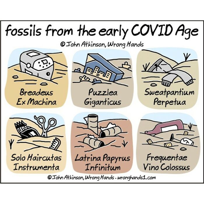 28. Fossils from the early COVID age.