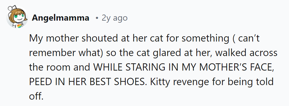 Talk about a direct hit! Revenge, served up with a side of sass.