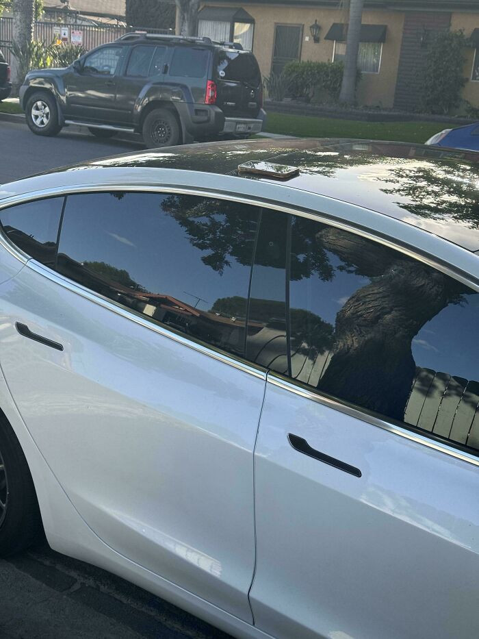 "Someone Left Their Phone On Top Of Their Car"