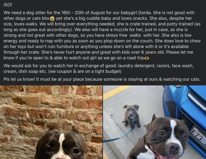 Next we have the shared screenshot