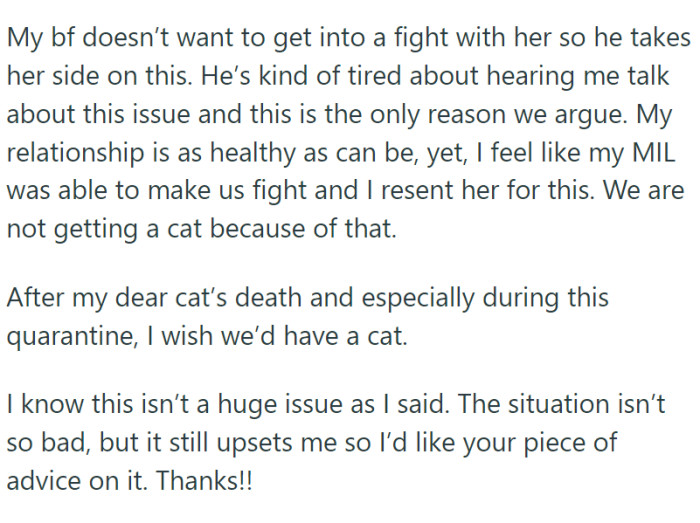Adding to the frustration is the fact that OP and her boyfriend both adore cats.