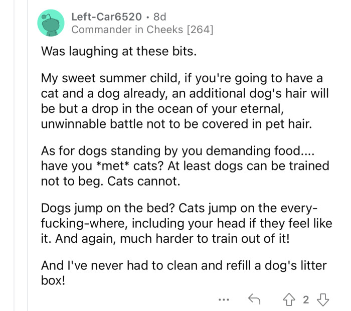 At least you can train a dog; you can't do that with a cat.