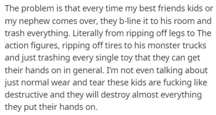 The kids visiting her house would always rush to her son's room and start destroying his toys