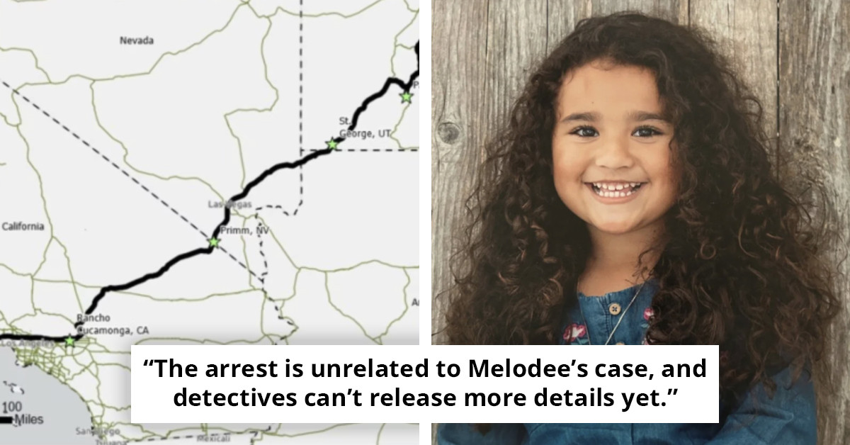 Insights on the vanishing of 9-year-old girl seen in wig with mother on CCTV