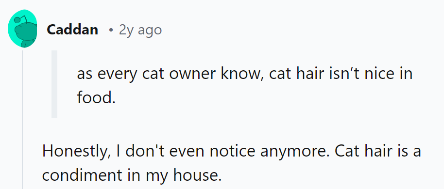 Cat hair: the ultimate seasoning for the adventurous palate.