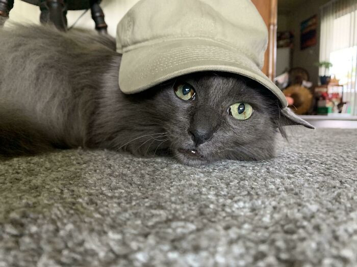 "My Lil Bro Stole My Hat And I Think He Wears It Better😩😬😎"