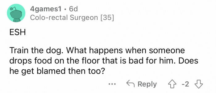 21. Train the dog.