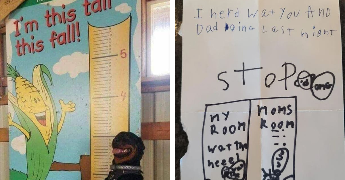 Here Are 45 Hilarious And Random Pictures To Spice Up Your Boring Day