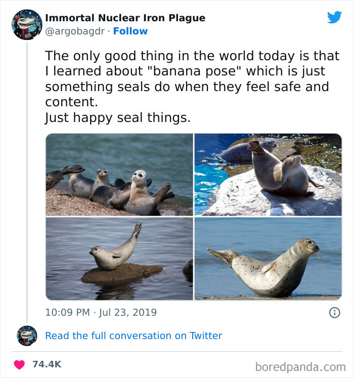 37. Just happy seal things