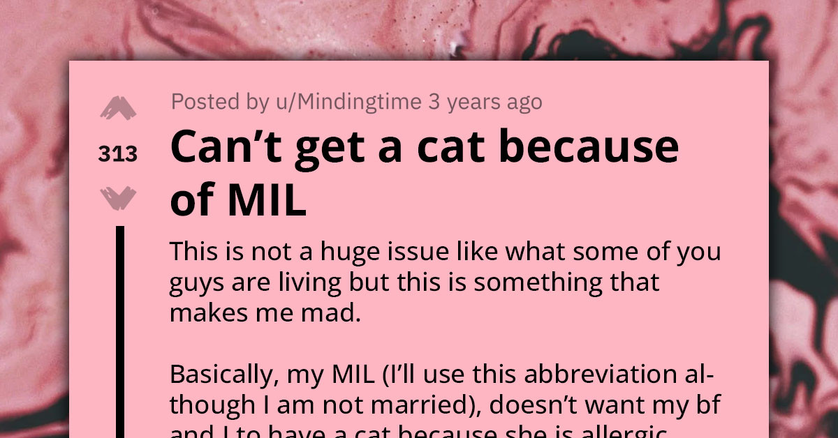 Controlling Mother Doesn't Want Her Son and Girlfriend to Get a Cat Because She Is Allergic