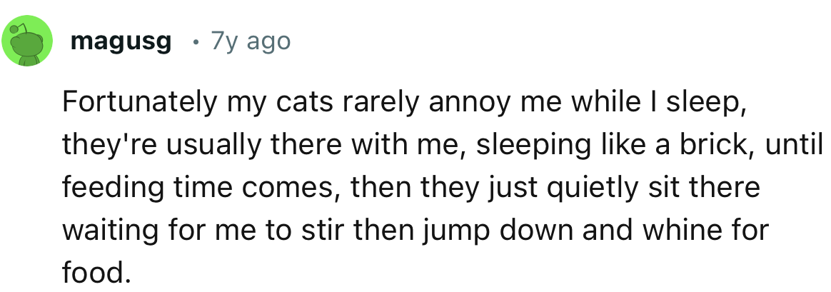 “Fortunately, my cats rarely annoy me while I sleep; they're usually there with me, sleeping like a brick until feeding time comes.”