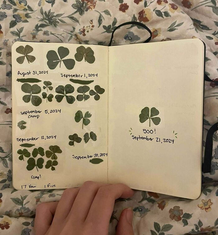 "Four Leaf Clovers"
