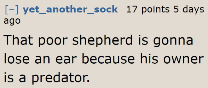 He's using his dog to pick up on girls.