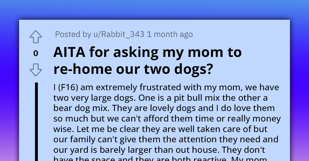 Teenager Tired Of Taking Care Of Family's Two Dogs While Struggling With School And Job, Asks Mom To Re-Home Them