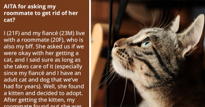 Redditor Wants Her Depressed Pregnant Roommate To Get Rid Of The Cat She Is Maltreating