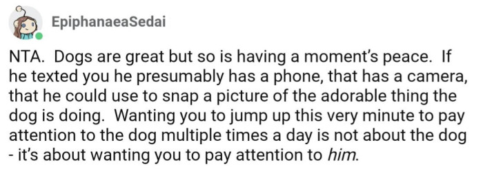 We all get by now that this has nothing to do with the dog, right?