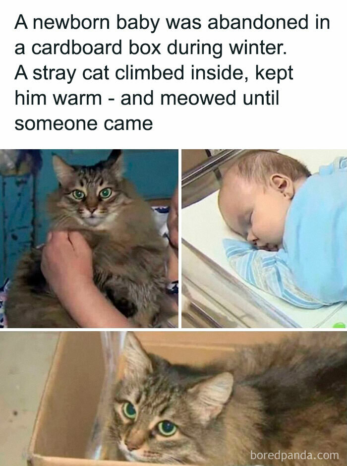 "👏👏"