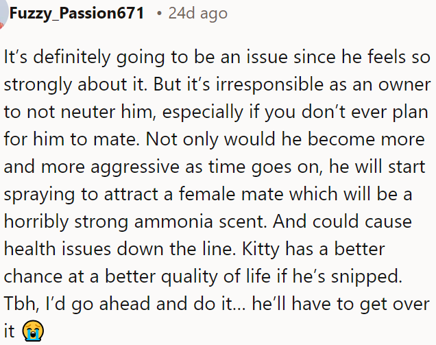 Neutering is essential for the cat's health and behavior, and it's the responsible choice for a better quality of life.
