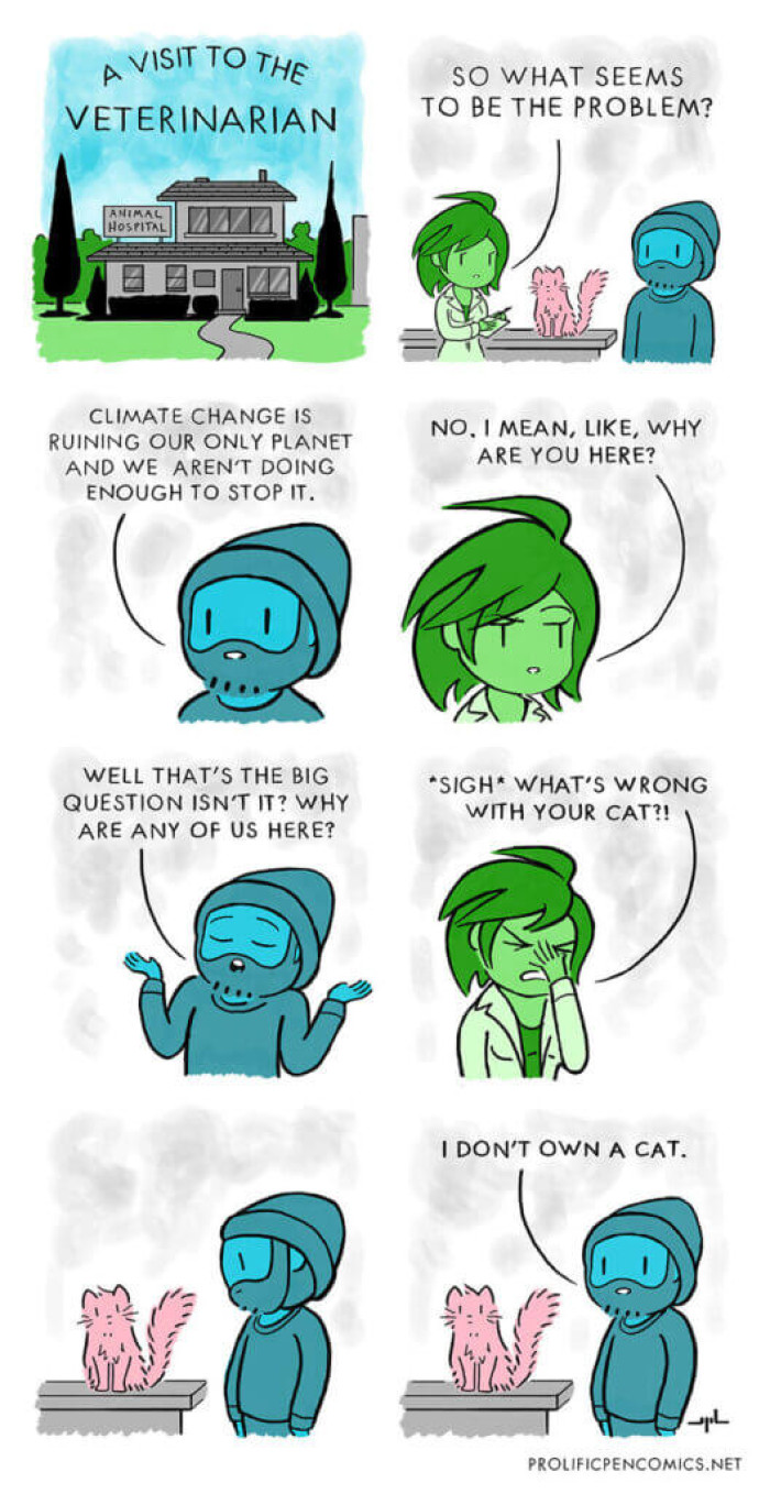 30. The human is the cat’s pet