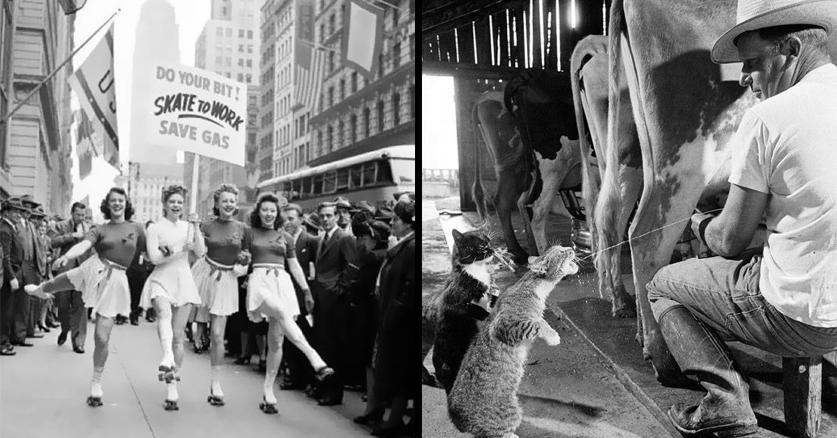 50 Significant Historical Pictures That Might Change How You View the Past and the Present Alike