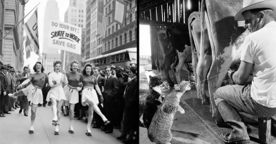 50 Significant Historical Pictures That Might Change How You View the Past and the Present Alike